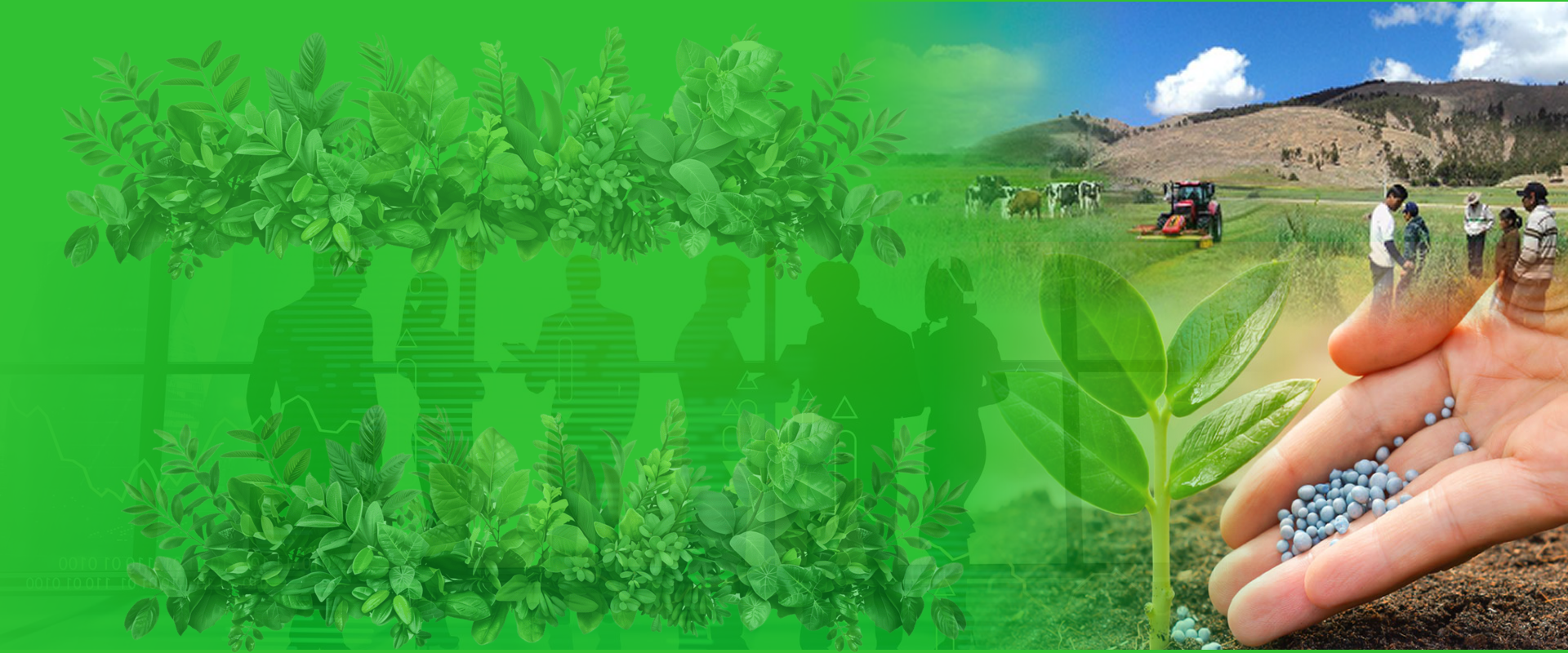 Producción Agropecuaria